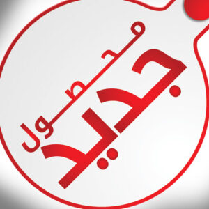 ترازو محک مدل 16000 پرینتردار 35 کیلویی